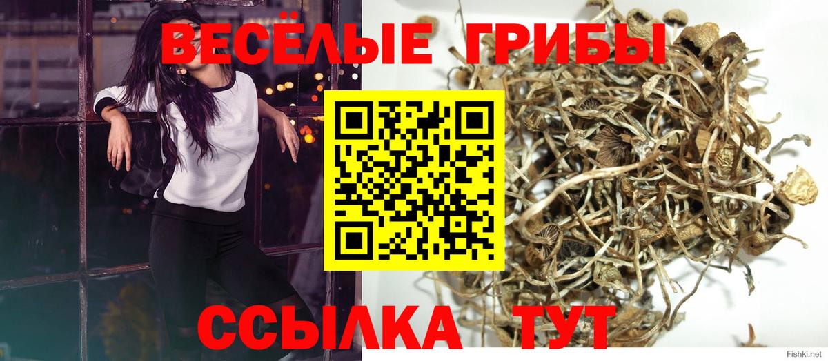 Кириши  Галлюциногенные грибы Magic Shrooms  Вход с VPN 