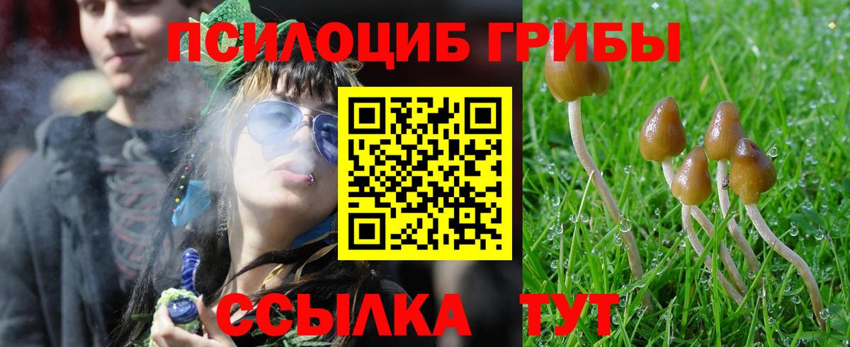 Псилоцибиновые грибы GOLDEN TEACHER Кириши